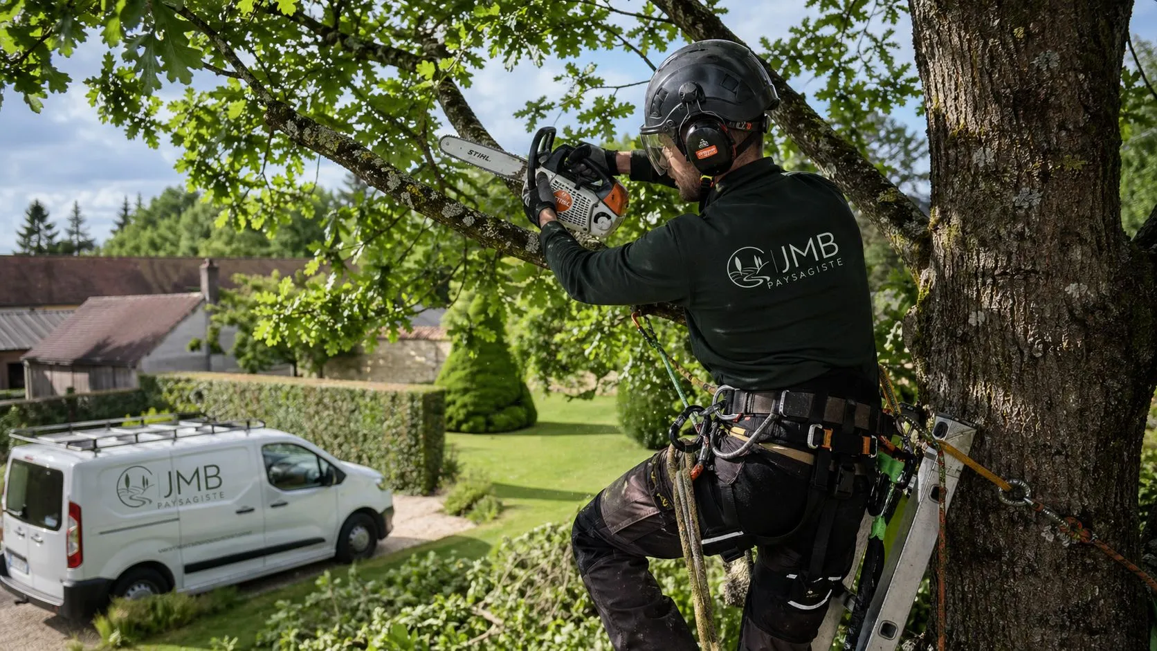 Élagueur JMB Paysagiste en intervention dans un arbre à Auxerre